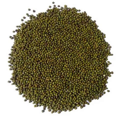 Sabut Green Moong Pulses M P High In Protein At Rs 74 Kg In Indore