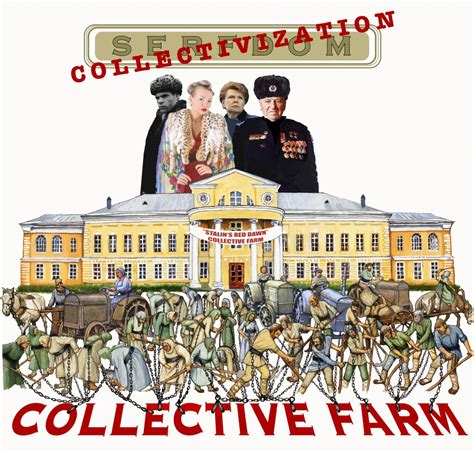 collectivization - meddic