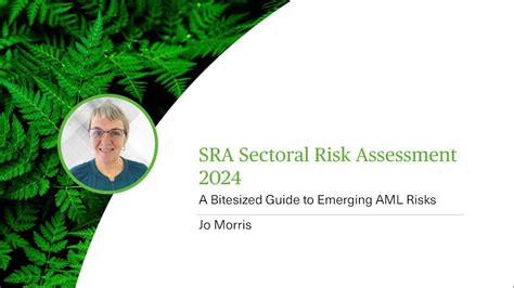 Sra Sectoral Risk Assessment 2024 A Bitesized Guide To Emerging Aml