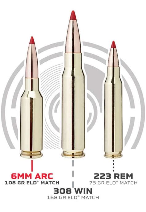 What Is The Best Ar Caliber For Hunting The Armory Life