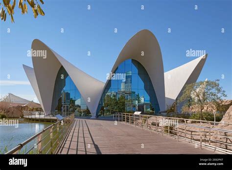 Underwater Restaurant With Aquatic Landscaping In The Oceanographic Of