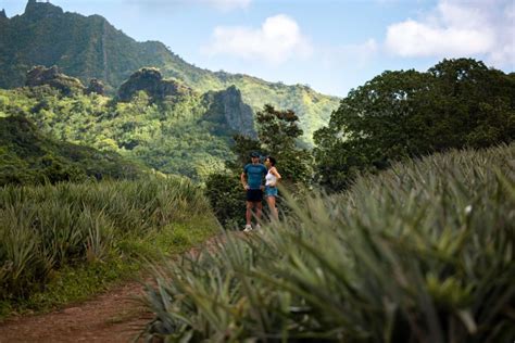 The Pineapple Trail In Moorea Tahiti Tourisme