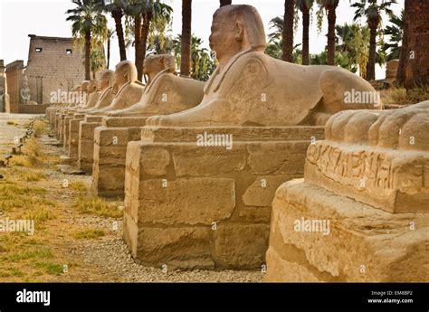 The Avenue Of Sphinxes Forming Part Of Luxor Temple In Egypt Stock