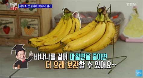 “바나나는 이렇게 보관하세요” 유통기한 짧은 바나나 오래 보관하는 방법 하이라이트