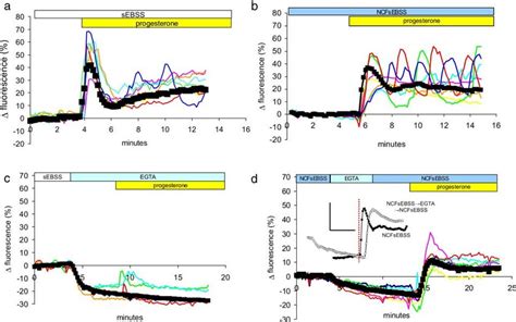 Effects Of Extracellular Ca Concentration On The Responses Of