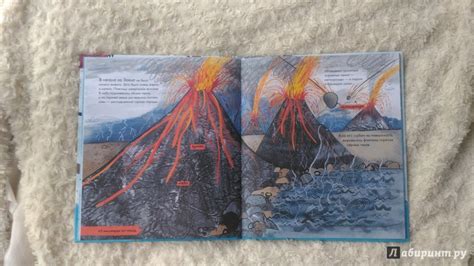 Книга: История жизни. Моя первая книга об эволюции - Барр, Уильямс ...