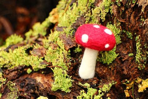 Needle Felted Mushrooms Etsy