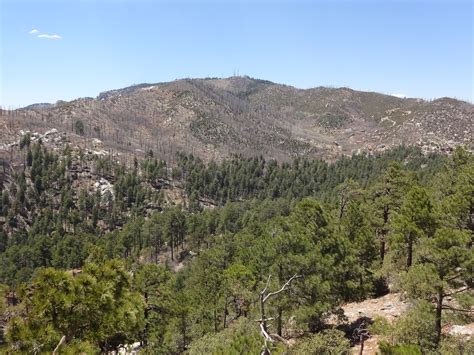 Mt Lemmon