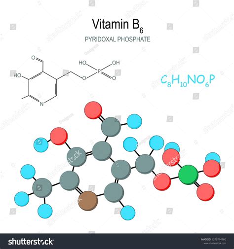 Pyridoxal Phosphate The Active Form Of Vitamin B Model Of Vitamin B