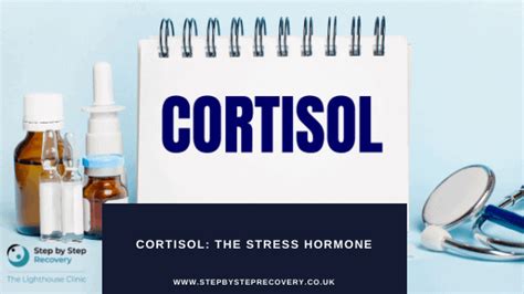 Cortisol The Stress Hormone Step By Step Recovery