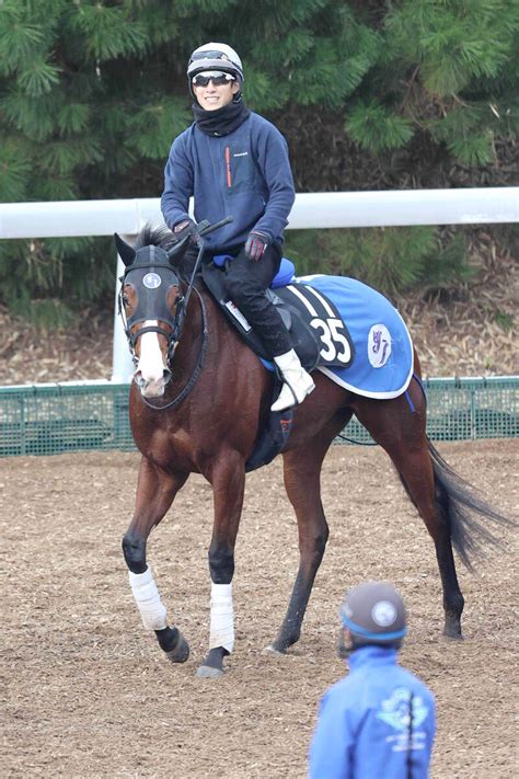 【注目馬動向】ソダシの全妹ママコチャ 6月19日の阪神で戦列復帰 Umatoku 馬トク