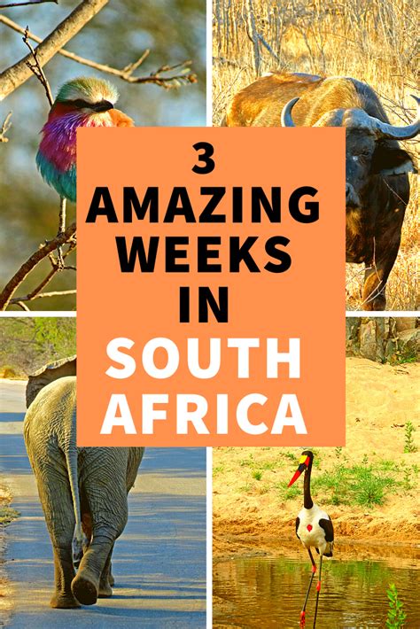 3 Week South Africa Itinerary Cape Town And Garden Route Artofit