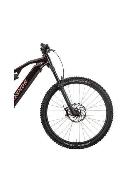 Bicicleta Electrica Raymon Full Suspension Trailray Pro