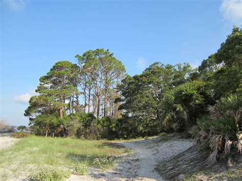 island     history guide  cumberland island
