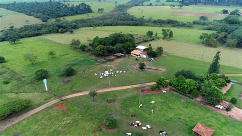 O Que é A Zona Rural E Quais As Suas Características Atrnp