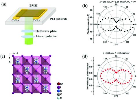 Polarization Sensitive Photodetection Of The Bmsi Based Photodetector Download Scientific