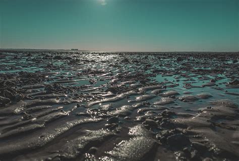 Muddy Shores Photograph By Martin Newman Fine Art America