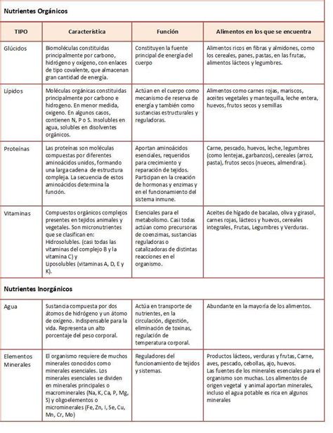 Completa La Siguiente Tabla Y Responde Las Preguntas En Tu Cuaderno