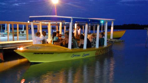 Luminous Lagoon Falmouth Jamaica Shores Adventures