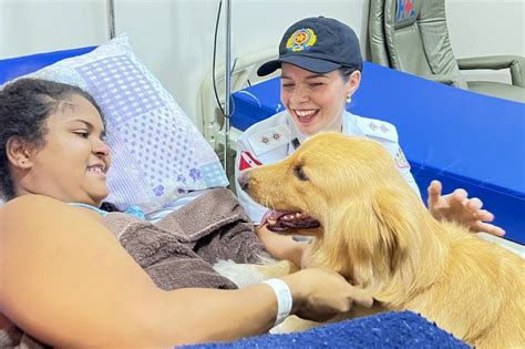 Pacientes do Hospital Ophir Loyola recebem visita de cão terapeuta da