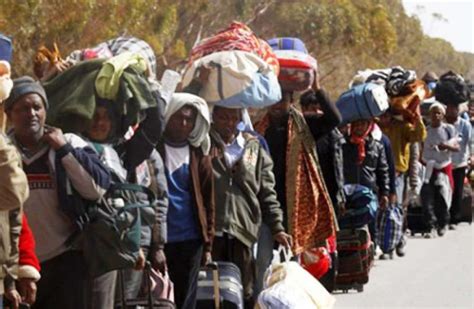 Boko Haram 395 Displaced Nigerians Live In Niger Official Premium