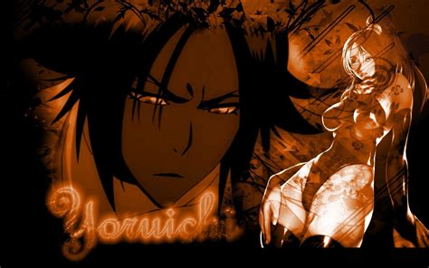 Bleach Yoruichi Wallpaper 69 Images