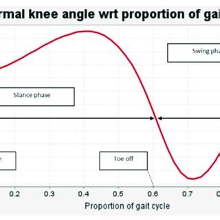 Normal Knee Angle Red Curve By Phase Of Gait Cycle With Respect To