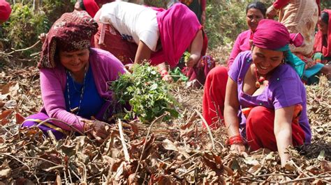 Donate To Help 600 Women In Rural Nepal Become Entrepeneurs Globalgiving