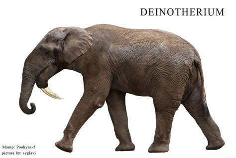 Výsledek Obrázku Pro Deinotherium Animales Prehistóricos Elefantes