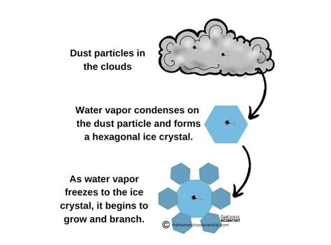 Snowflake Science with Printable - The Homeschool Scientist