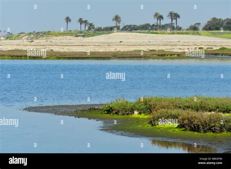 The Bolsa Chica Ecological Reserve A State Marine Conservation Area