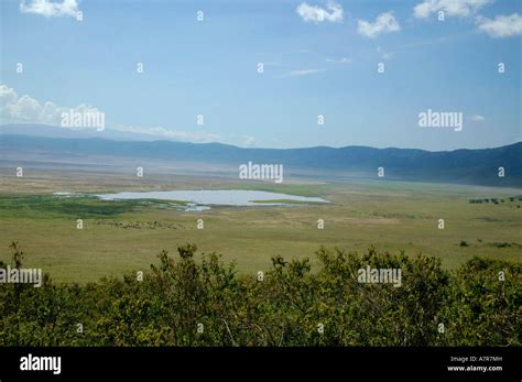 Ngorongoro Crater Lake Magadi In Hi Res Stock Photography And Images