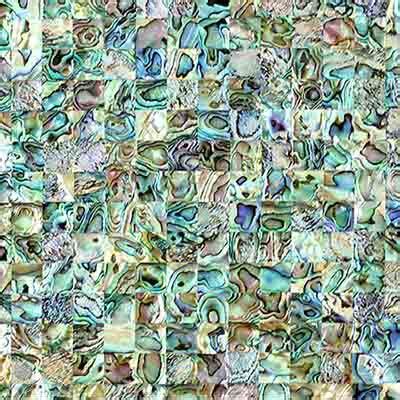 High End New Zealand Abalone Mosaics Mother Of Pearl Shell Mosaic Tile