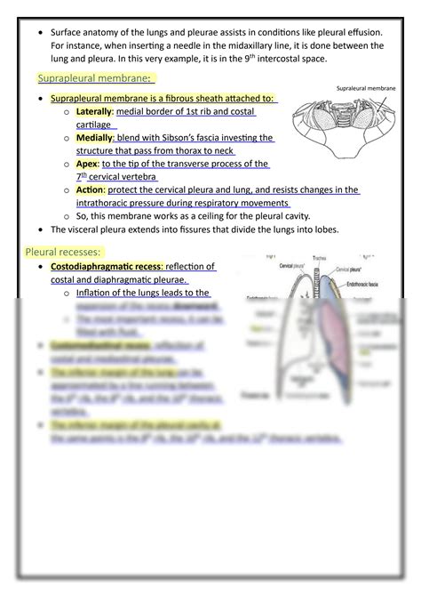 Solution Pleura Notes Anatomy Ju Studypool