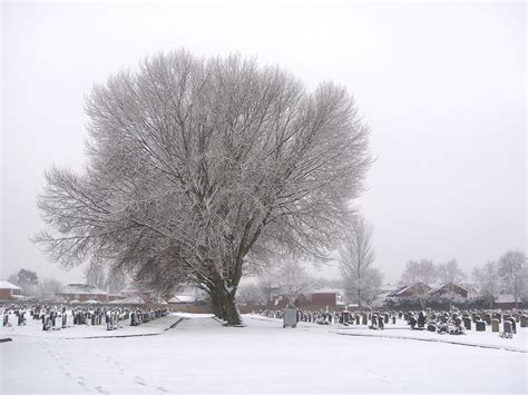 Yew Tree Cemetery Tony Beyga Flickr