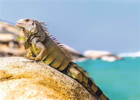 Tayrona National Park | South America Tourism Office