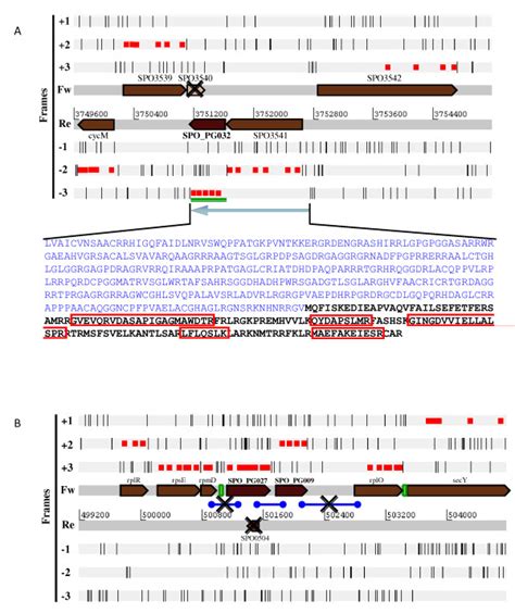 Chromosome Region View Of Three Novel Genes Detected By Proteogenomics