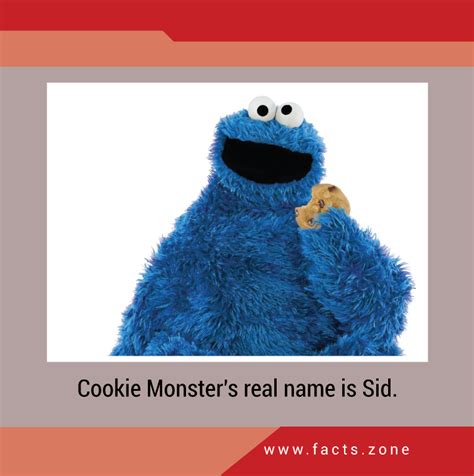 Cookie Monsters Real Name Is Sid • Facts Zone