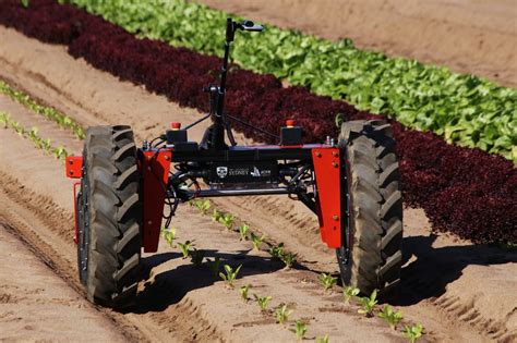 Leveraging Artificial Intelligence to Control Agriculture Robotics – TopTeny Magazine