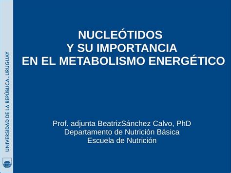 Nucleótidos y su importancia en el metabolismo energético Dani España