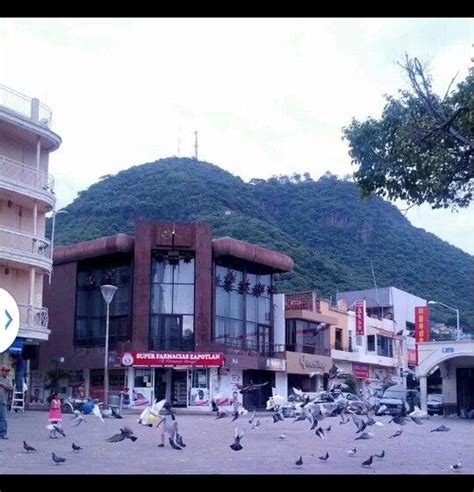 A Group Of Birds Standing On The Ground In Front Of A Building With A