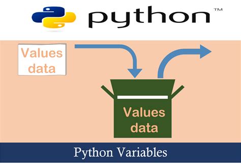 Variables In Python Python Programming Hot Sex Picture