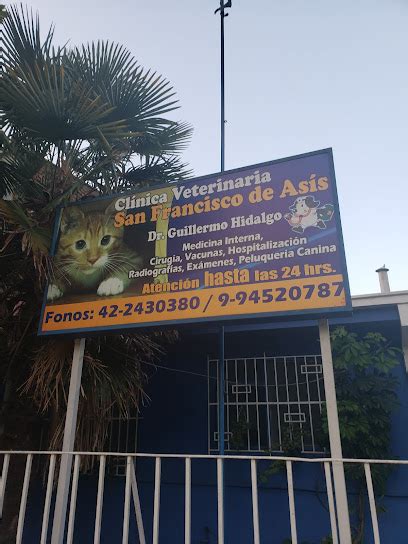 Veterinario Cl Nica Veterinaria San Francisco De As S Chill N