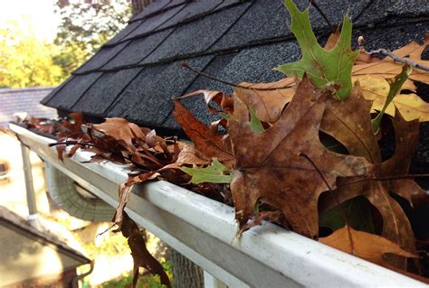 Leaves In Gutters E1490211754795 Weathertight Exteriors