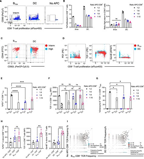 Frontiers Antigen Presenting B Cells Promote Tcf Pd Stem Like