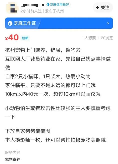 杭州第一批被裁掉的大厂人，不到30岁 ＊ 阿波罗新闻网