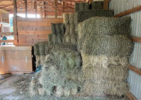 16 Proper Horse Hay Storage Rules To Minimize Losses