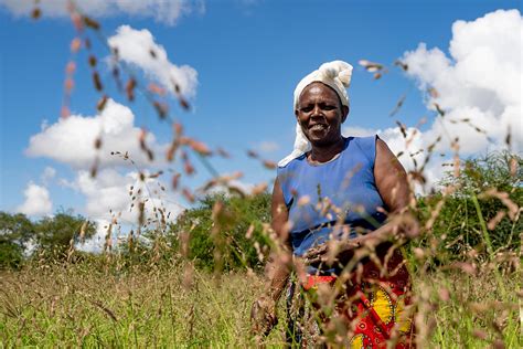 Usaid Kenya On Twitter Sustainable Agriculture Leads To Increased