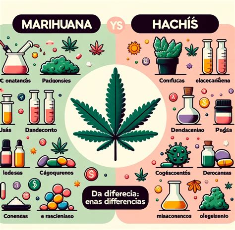 Diferencia Entre Hachis Y Marihuana Descubre Todo