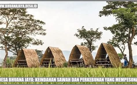 Desa Bhuana Jaya Keindahan Sawah Dan Perkebunan Yang Mempesona Desa